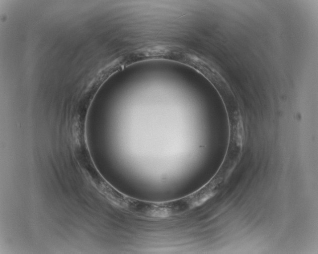 X0000080120604200612081254