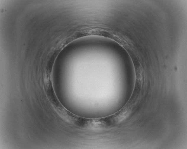 X0000080120607200612081254
