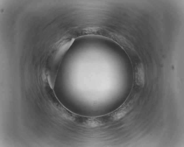 X0000080120608200612081254