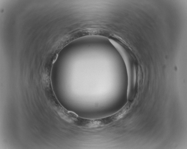 X0000080120609200612081254
