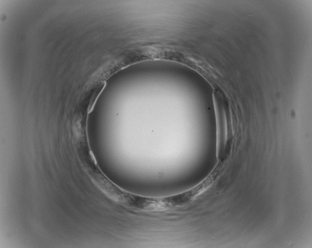 X0000080120611200612081254