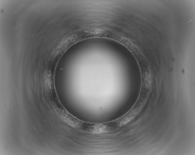 X0000080120612200612081254
