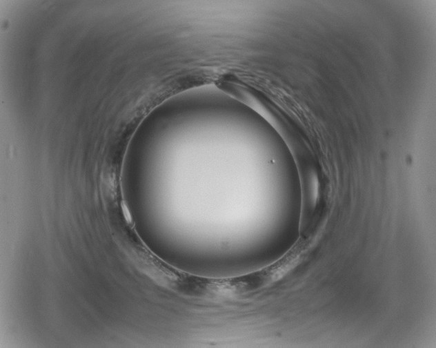 X0000080120613200612081254
