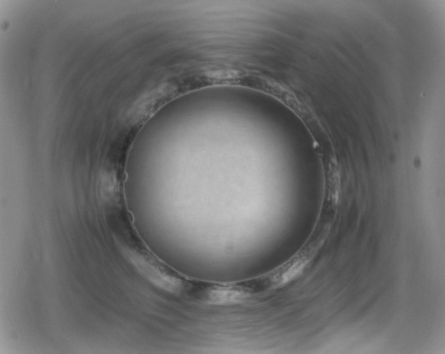 X0000080120614200612081254