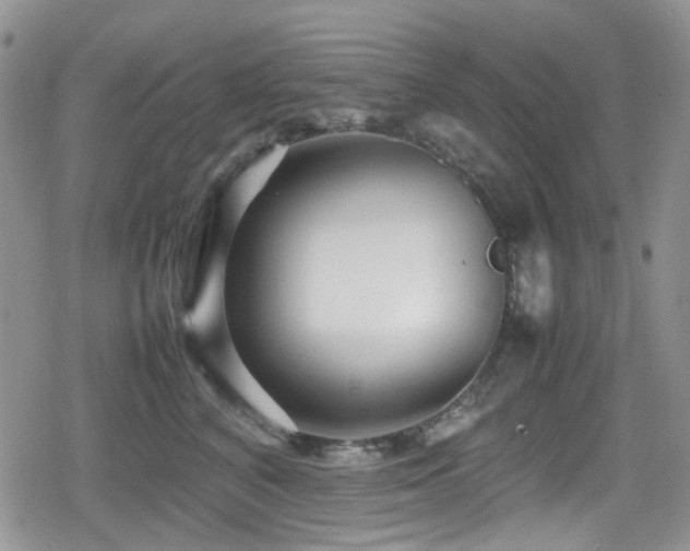 X0000080120616200612081253