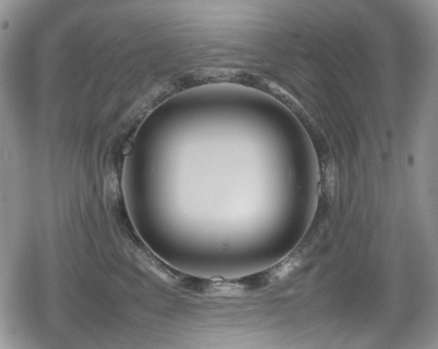 X0000080120617200612081253