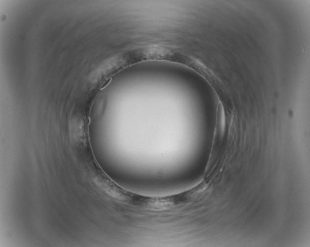 X0000080120619200612081253