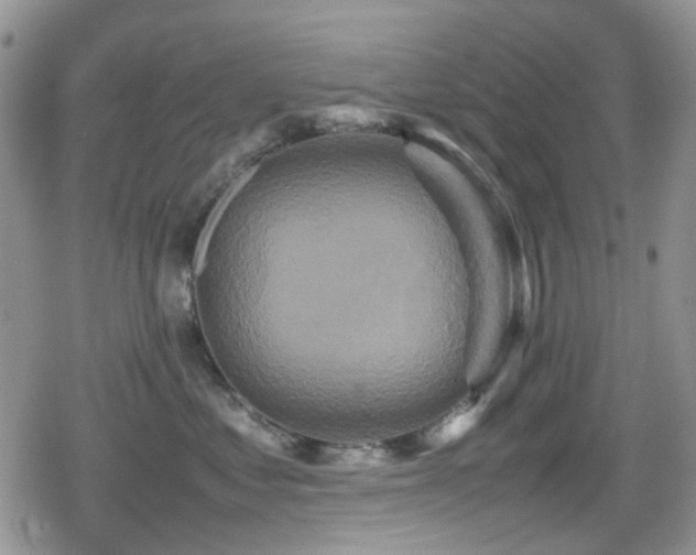 X0000080120621200612081253