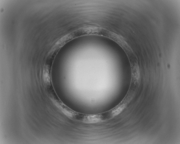 X0000080120622200612081253