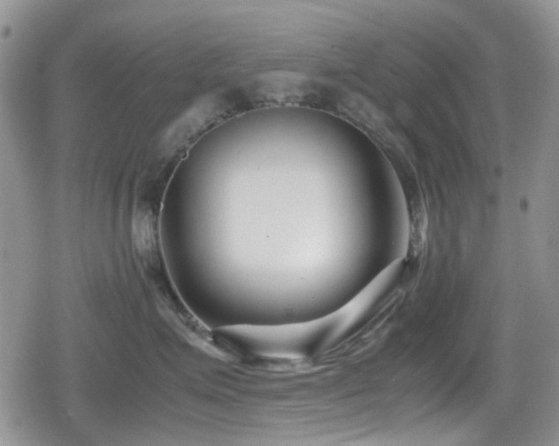 X0000080120623200612081253
