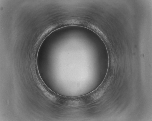 X0000080120625200612081253