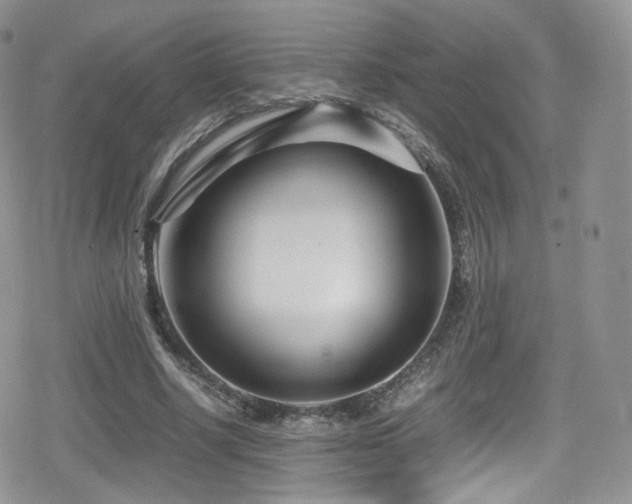 X0000080120634200612081253