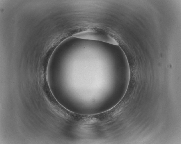 X0000080120642200612081253