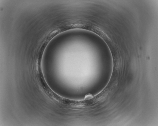 X0000080120643200612081253