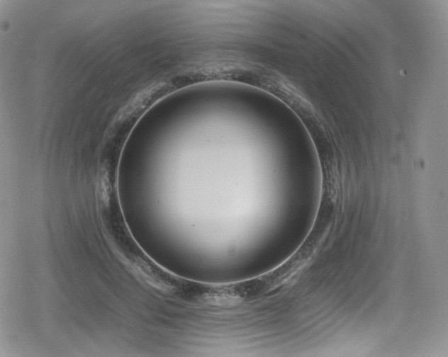 X0000080120644200612081253