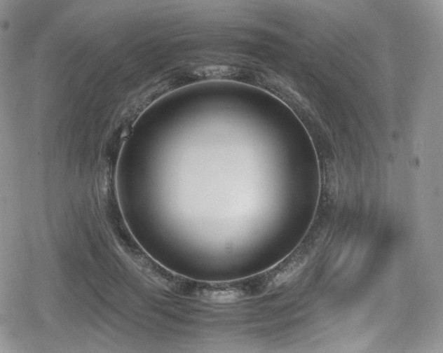 X0000080120645200612081253