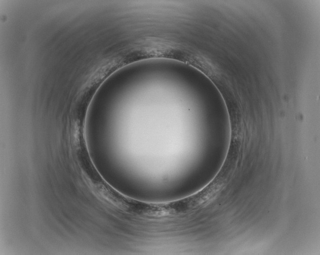 X0000080120646200612081253