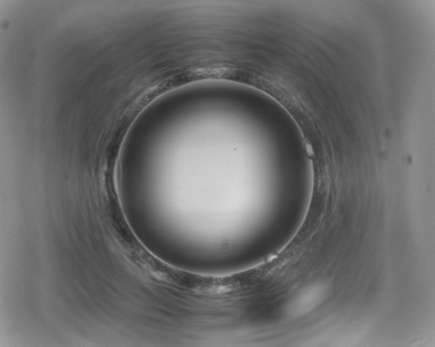 X0000080120647200612081253