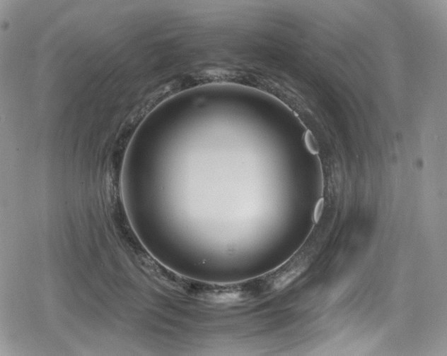 X0000080120651200612081253