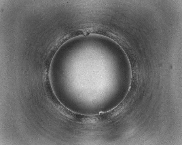 X0000080120652200612081253