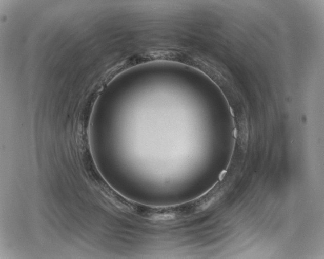 X0000080120653200612081253