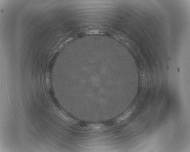 X0000080120654200612081253
