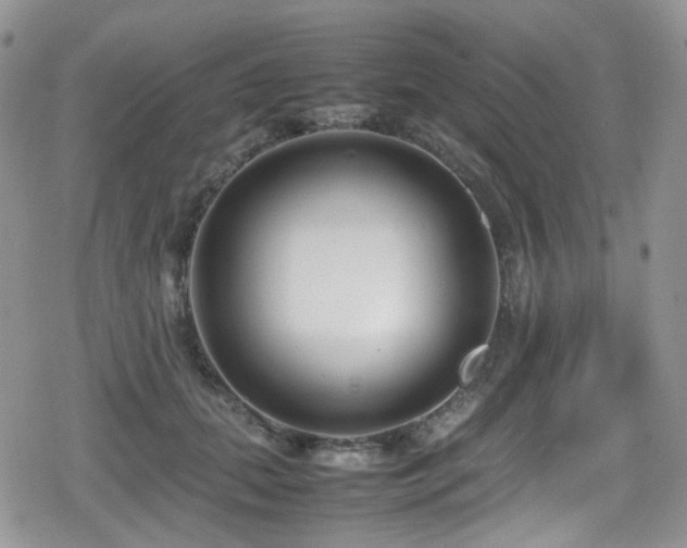 X0000080120655200612081253