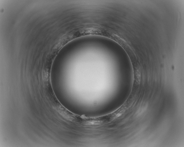X0000080120657200612081253
