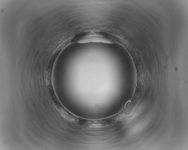 X0000080120658200612081253