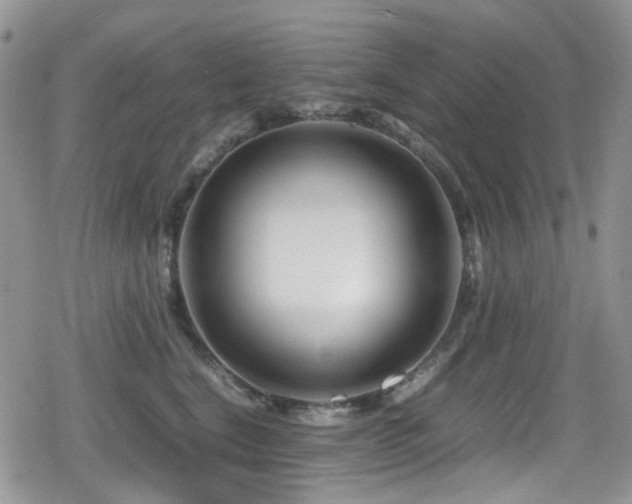 X0000080120664200612081253