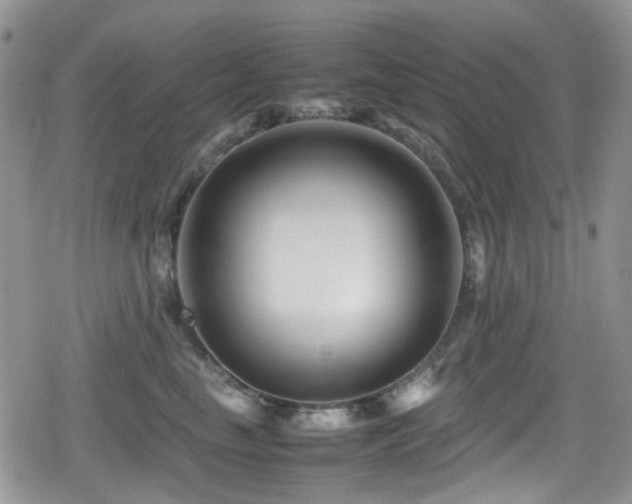 X0000080120665200612081253