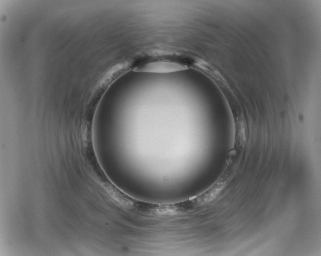 X0000080120668200612081253