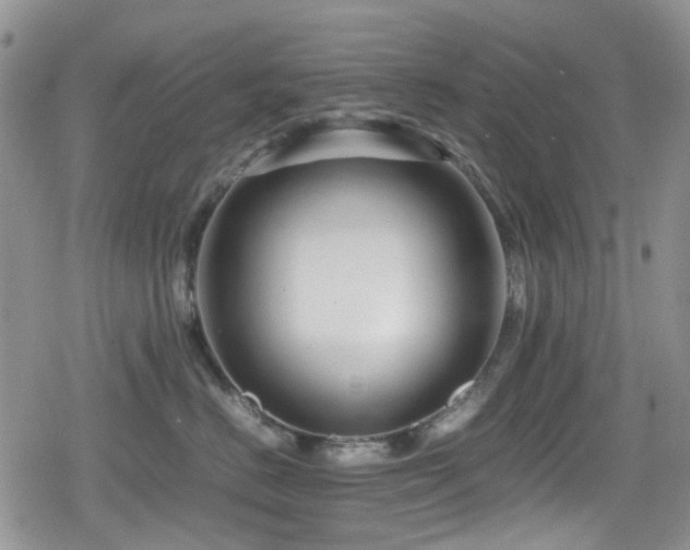 X0000080120670200612081253