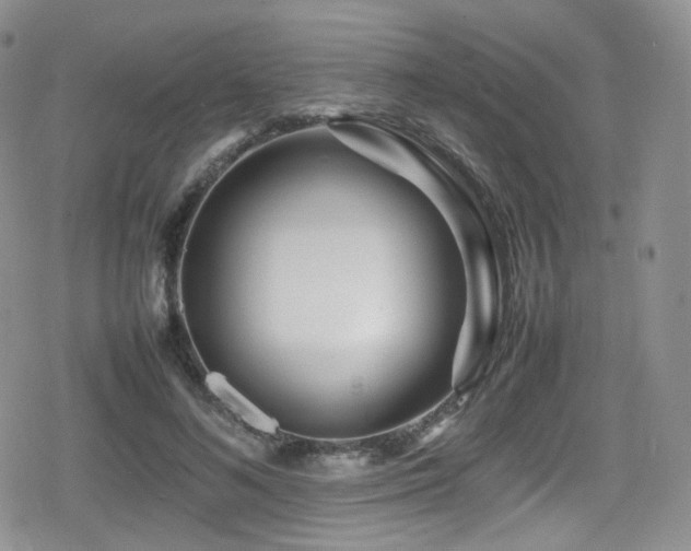 X0000080120692200612081252