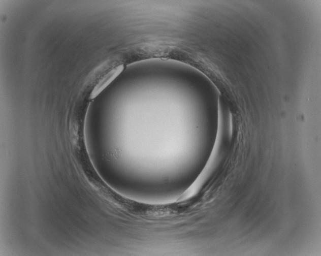 X0000080120693200612081252