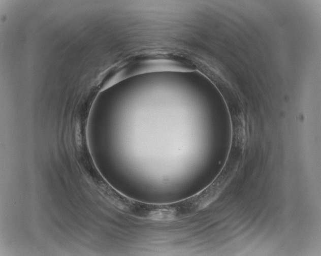 X0000080120700200612081252