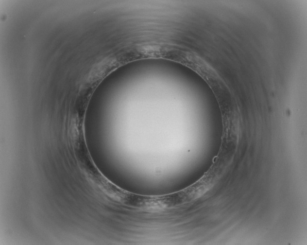 X0000080120702200612081252