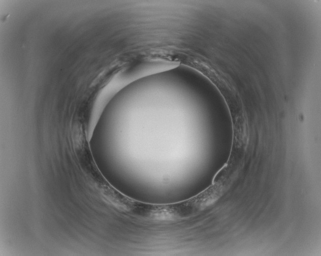 X0000080120704200612081252