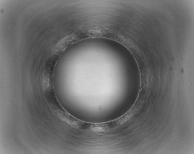 X0000080120706200612081252