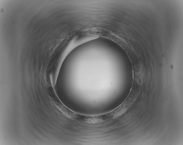 X0000080120708200612081252