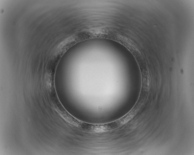 X0000080120710200612081252