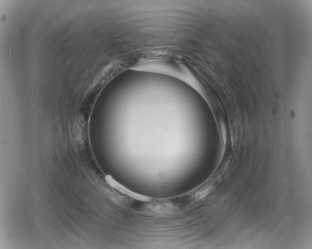 X0000080120712200612081252