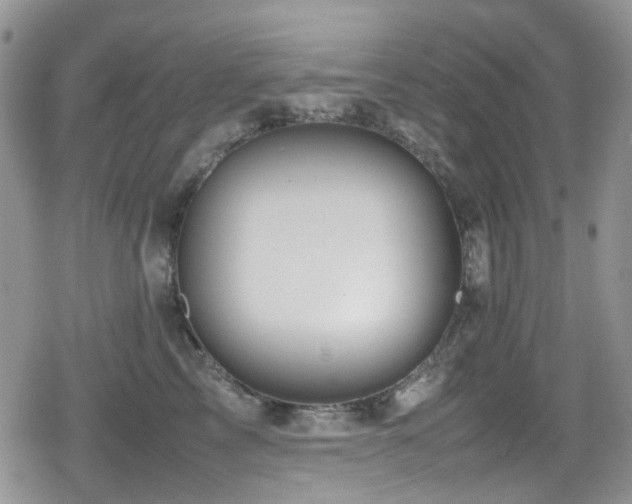 X0000080120713200612081252