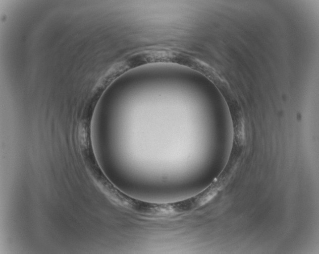 X0000080120715200612081252