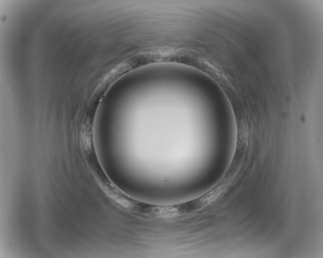 X0000080120719200612081252