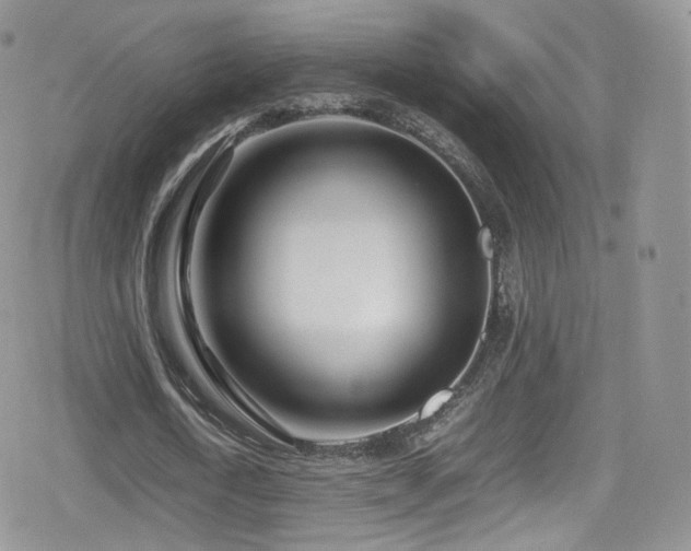 X0000080120722200612081251