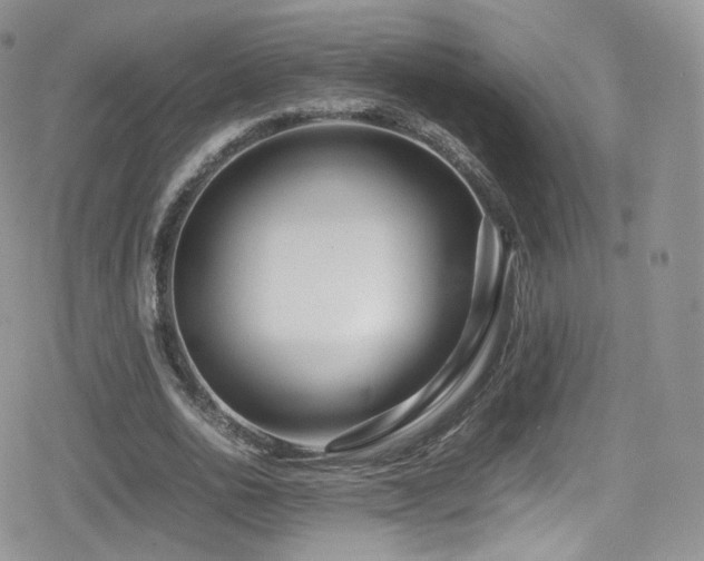 X0000080120726200612081251