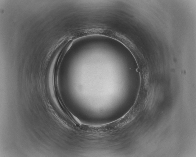 X0000080120729200612081251
