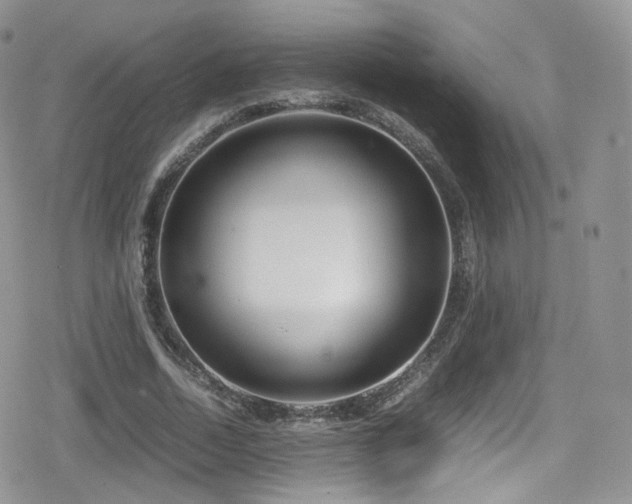 X0000080120730200612081251