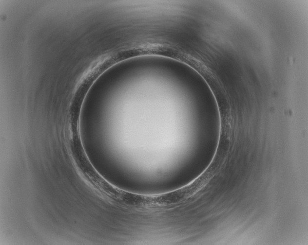 X0000080120734200612081251